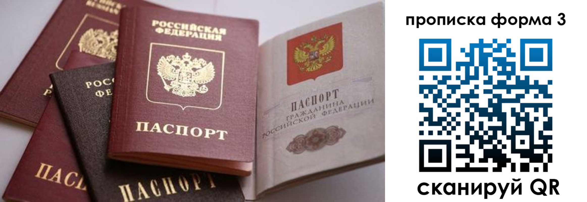 прописка для школы в Смоленской области